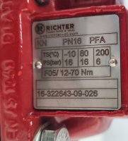 Richter ball valve PFA DN25 PN40